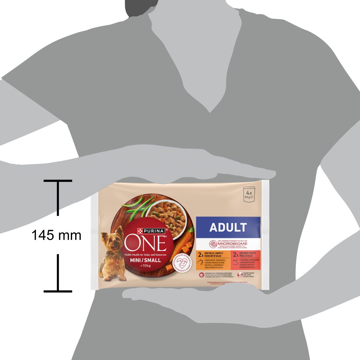 Purina ONE Delicate 4x85g Salmone in Salsa

