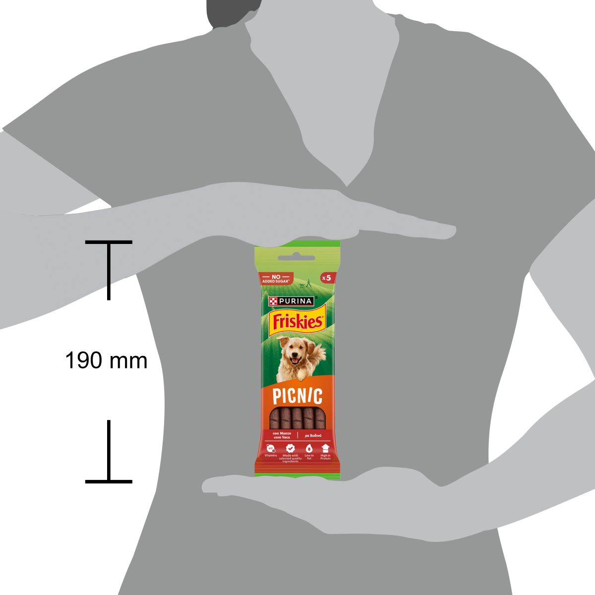 FRISKIES Picnic 5x Cane Snack Ricco in Manzo