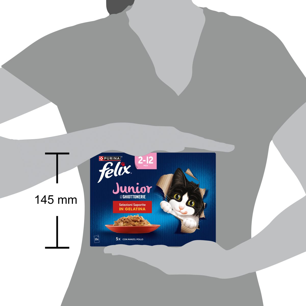 Felix Ghiottonerie Junior 10x85g Selezioni Saporite - Manzo/Pollo