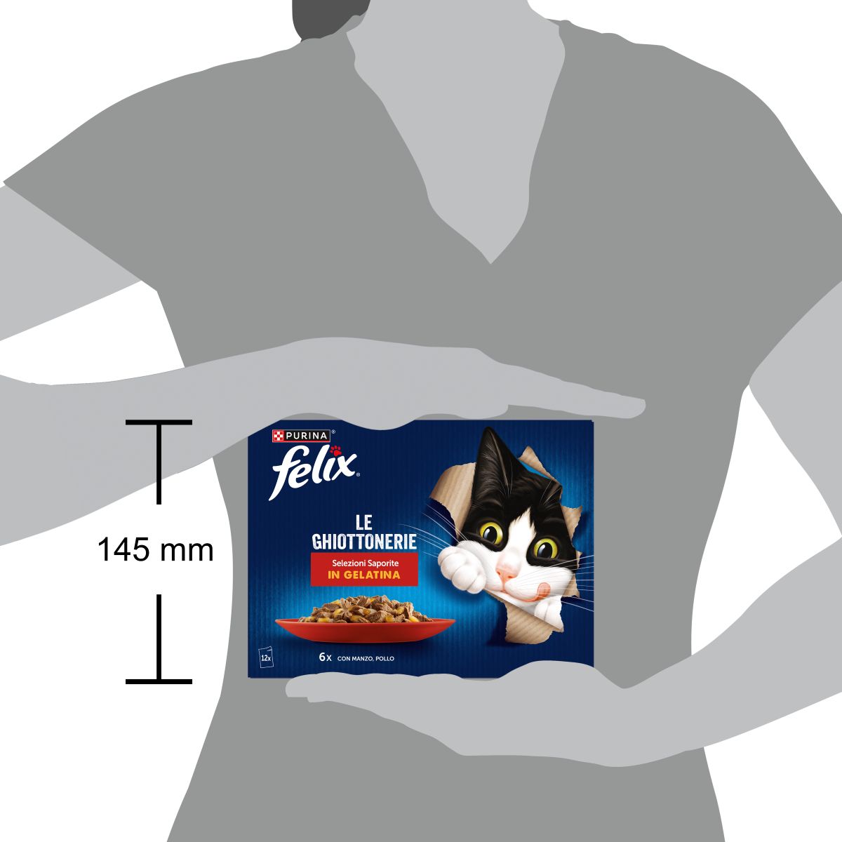 Felix Le Ghiottonerie 12x85g Selezioni Saporite - Manzo/Pollo