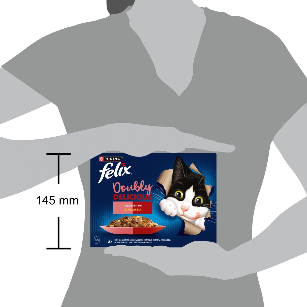 Felix Doubly Delicious 12x85g Selezioni Miste