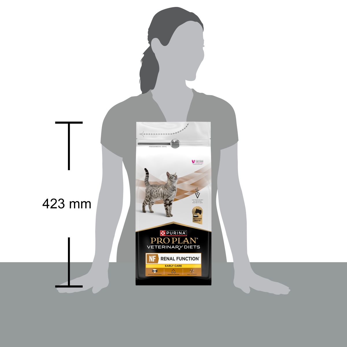 PURINA PRO PLAN® VETERINARY DIETS secco gatto NF Renal FunctionTM Early Care