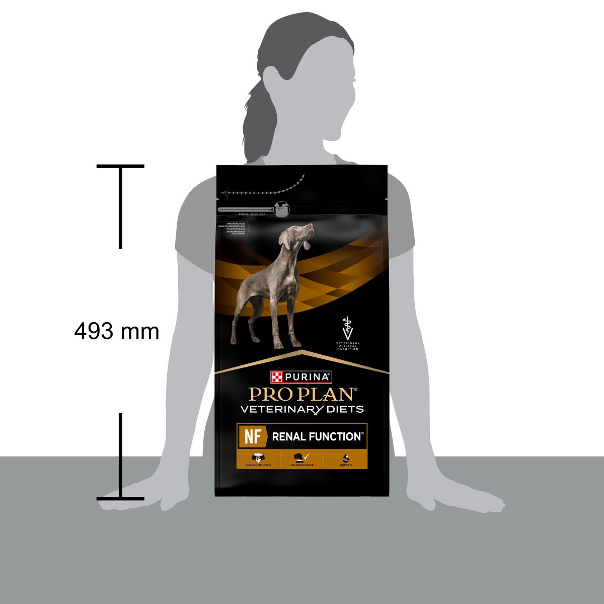 PURINA PRO PLAN® VETERINARY DIETS secco cane NF Renal Function