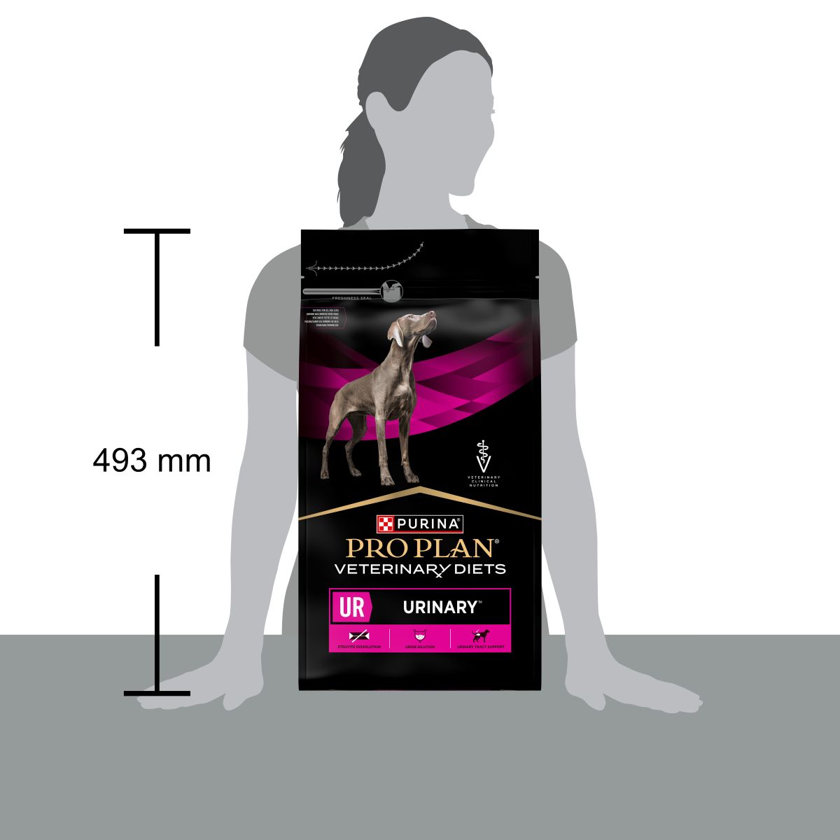 PURINA PRO PLAN® VETERINARY DIETS secco cane UR Urinary