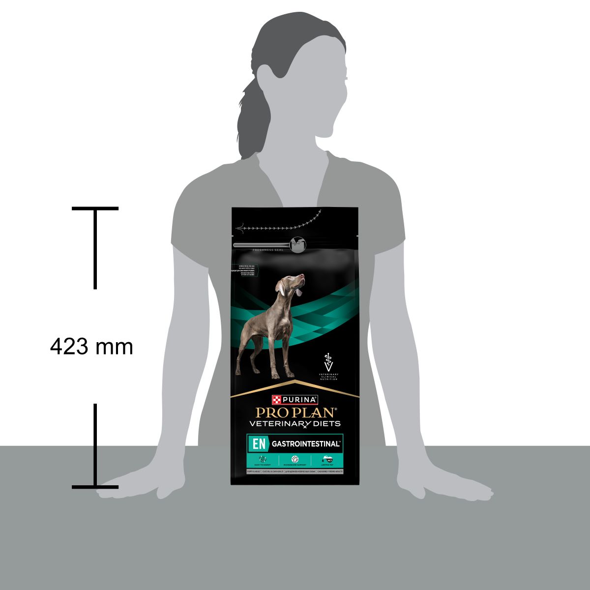PURINA PRO PLAN® VETERINARY DIETS secco cane EN Gastrointestinal