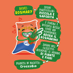 Mellin - Minicrock Pomodoro e Rosmarino Confezione da 30g
