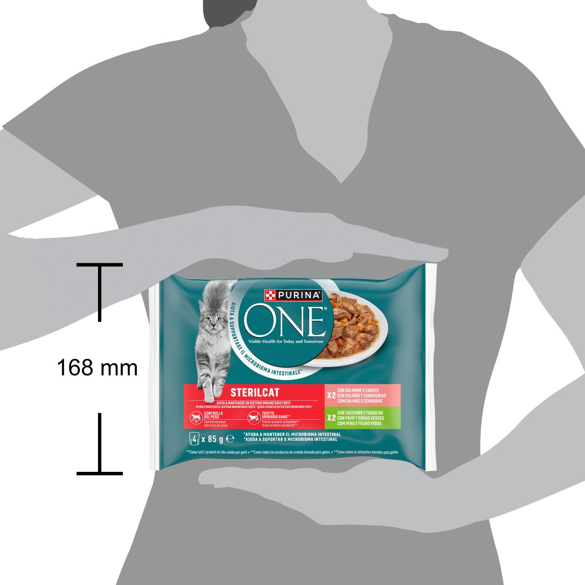 Purina ONE Bifensis Sterilcat 4x85g Salmone e Tacchino