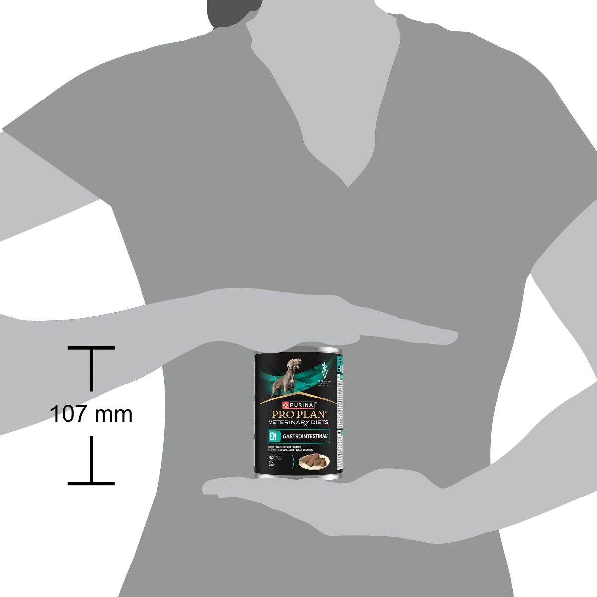 PPVD GASTROINTESTINAL Umido Cane 400g
