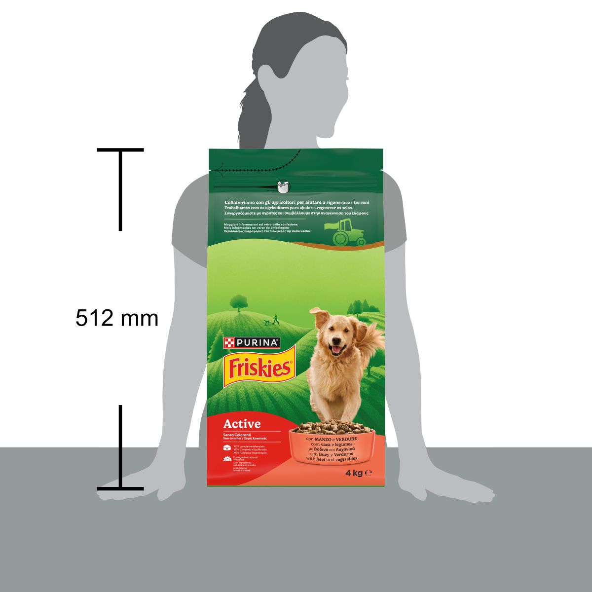 Purina® Friskies® Active crocchette per cani con manzo e verdure