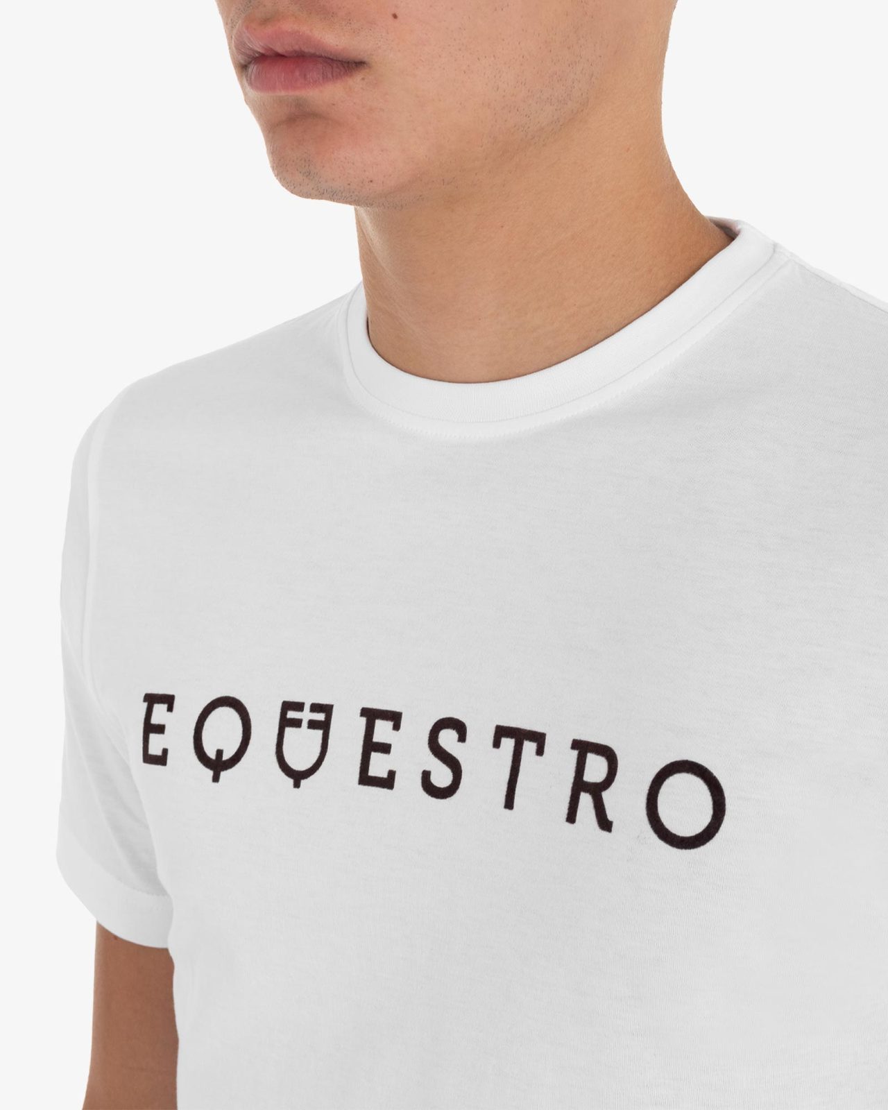Men's T-shirt with velvet-effect lettering