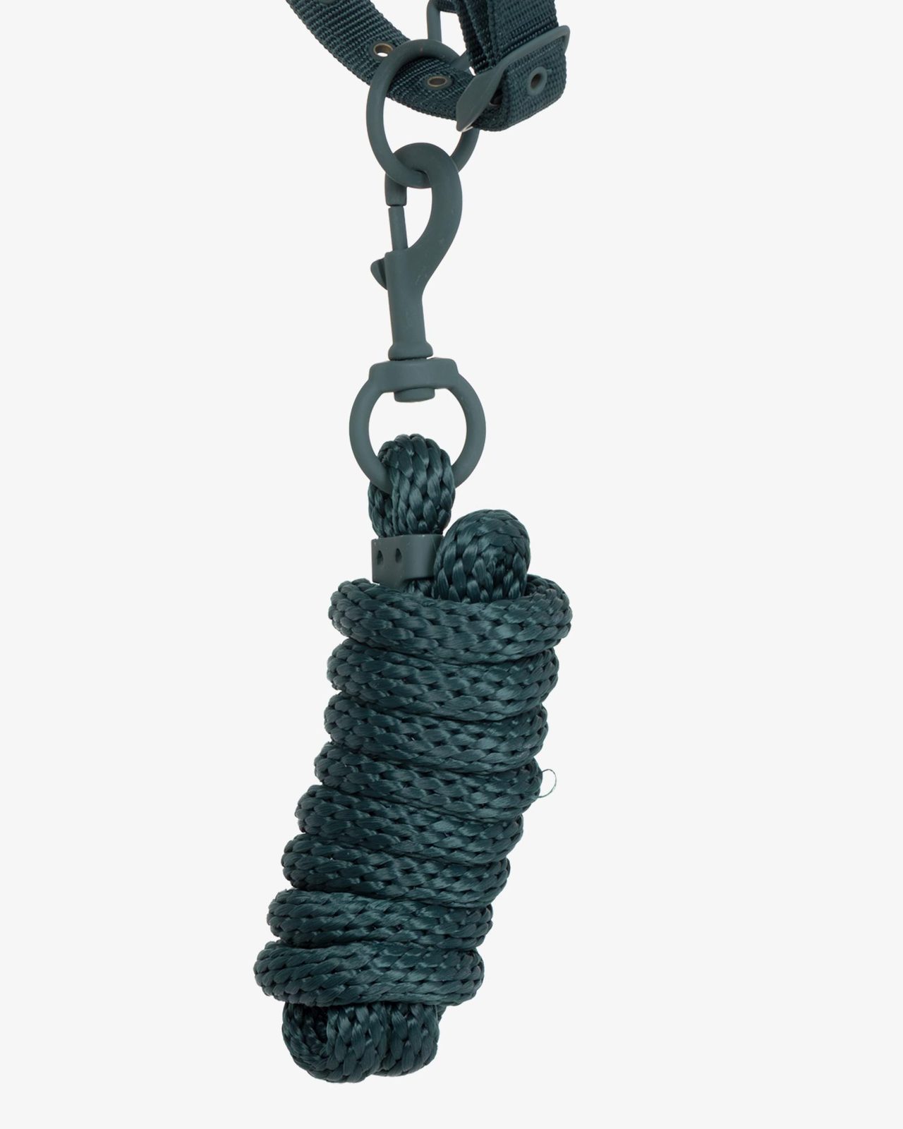 Technical halter with double adjustment and rubber-coated buckles
