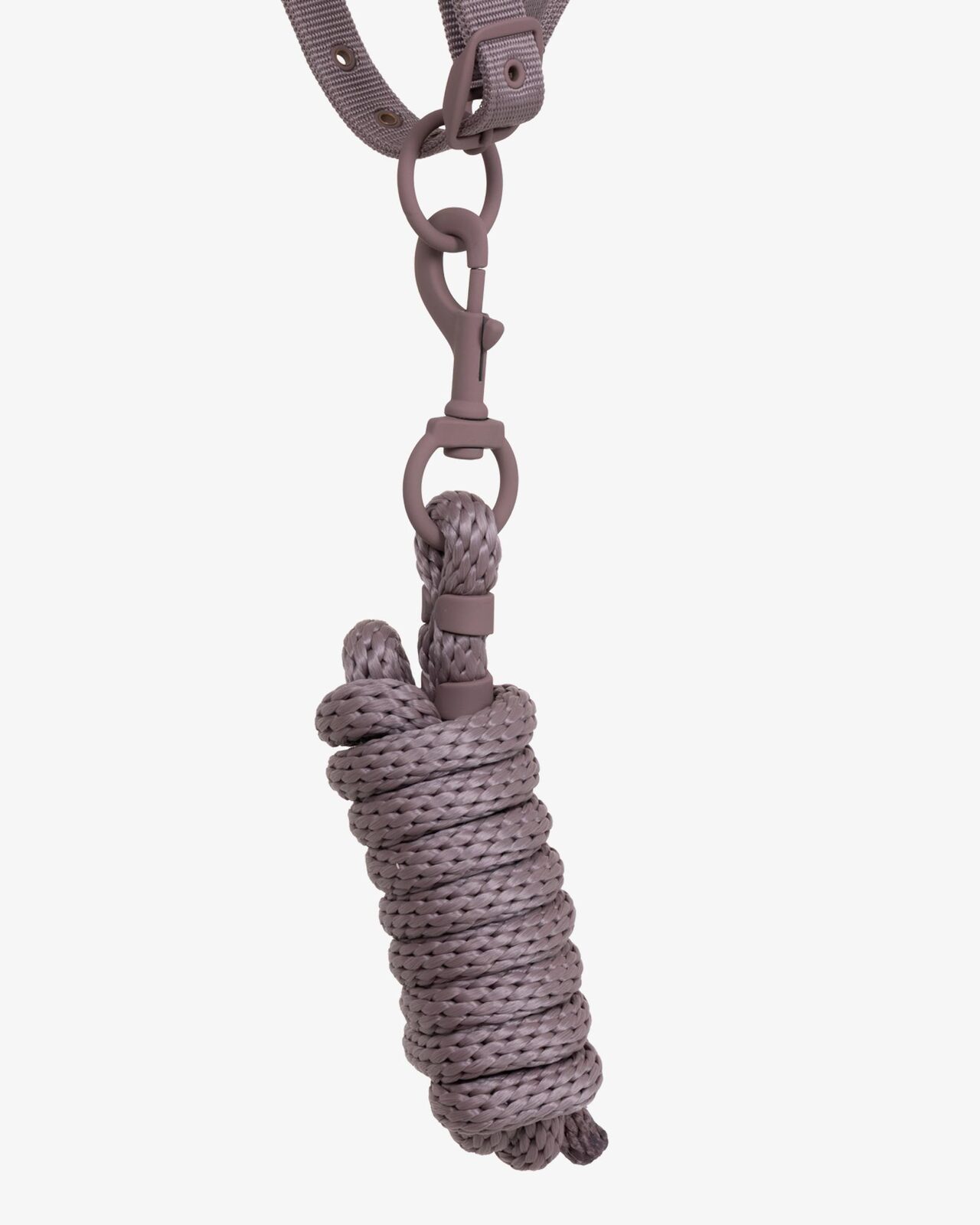 Technical halter with double adjustment and rubber-coated buckles