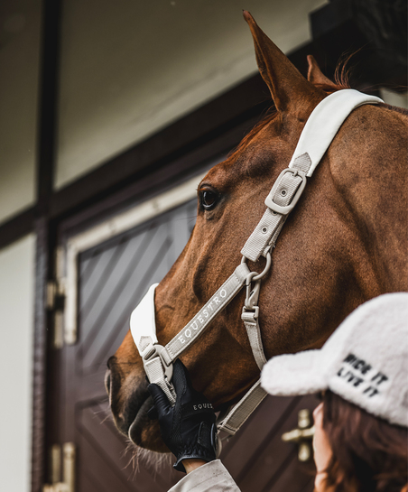 horse FW26 Collection