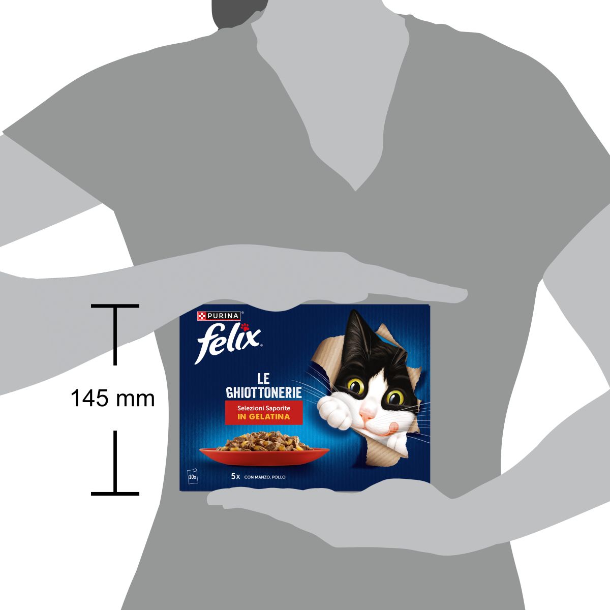 Felix Ghiottonerie 10x85g Selezioni Saporite - Manzo/Pollo