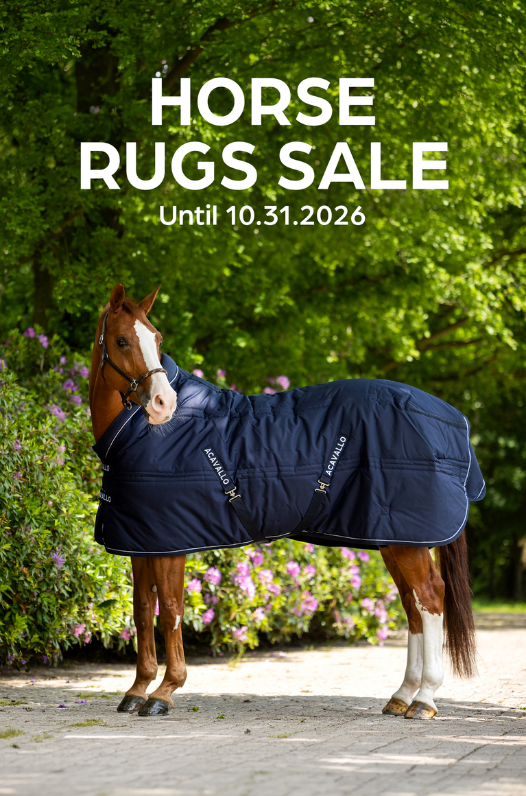 rugs promo
